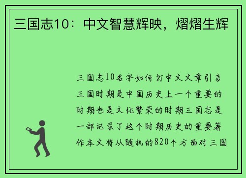 三国志10：中文智慧辉映，熠熠生辉